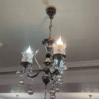 لوستر درحد نو مارک عالیجناب