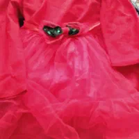 حراج لباس مجلسی|حراج|تربتحیدریه, ترمینال|دیوار