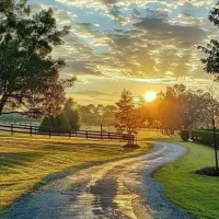 فروش زمین ،منزل