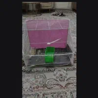 قفس همراه لوازم کاور