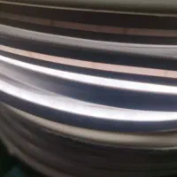 ریسه نئون|ریسه و چراغ تزئینی|قم, باغ شریفی|دیوار