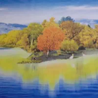 پرده رولی تصویری یا شید رولی تصویر طبیعی ۲*۲/۲۰