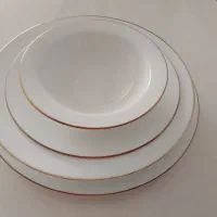 سرویس غذا خوری 18نفره زرین همراه با کارتون نونو