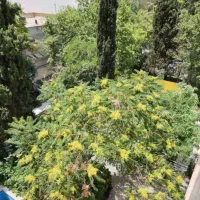 ویلایی-300متر-دربست-340متر-بنا-باز-سازی-شده-عظیمیه