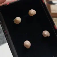 گوشواره طرح صدف