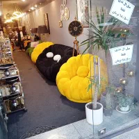 مبل صدفی|مبلمان خانگی و میز عسلی|شیراز, محراب|دیوار