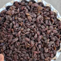 کشمش