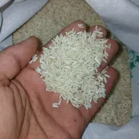 برنج فجر|خوردنی و آشامیدنی|شهرکرد, |دیوار