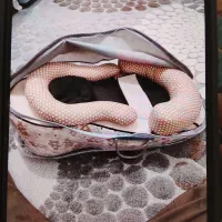 تشک وبالش فرم دهی سرنوزاد