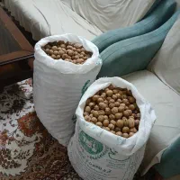 ۱۵۰ کیلو گردو مرغوب ملایر