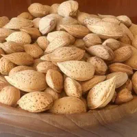 بادام
