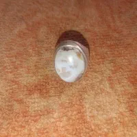 انگشتر شجرباباقوری