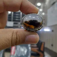 انگشتر شجر کلکسیونی بینظیر نامبروان