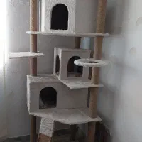 درخت گربه|لوازم جانبی حیوانات|لاهیجان, فیاض|دیوار