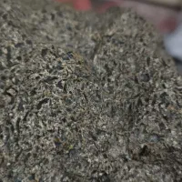 شهاب سنگ اکندرایت شرگوتیت|کلکسیون اشیاء عتیقه|زاهدان, |دیوار