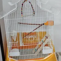 قفس طوطی بزرگ باوسایل نو