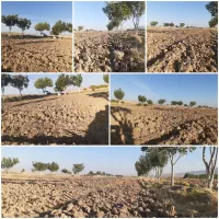 زمین کشاورزی با اب کافی