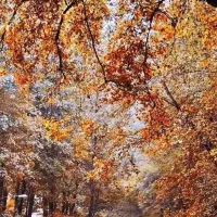 راهنمایی برای پروانه تالار پذیرایی مجالس