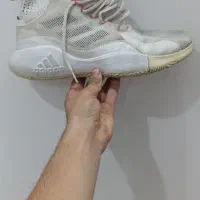 کفش والیبال adidasدرحد نو|کیف، کفش، کمربند|مشهد, کارمندان دوم|دیوار