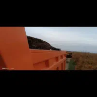 کود گاوی خالص (ده تن)|خدمات باغبانی و درختکاری|ساوه, |دیوار