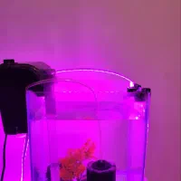 اکواریوم با تمام لوازم