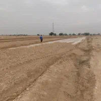 فروش-زمین-زراعی