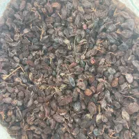 مویز|خوردنی و آشامیدنی|شیراز, شهرک امیر کبیر|دیوار