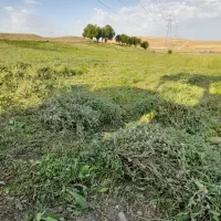 یونجه چین دوم
