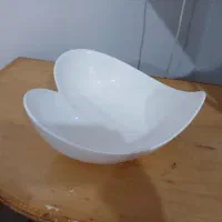 ظروف پذیرایی