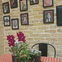 استخدام صندوقدار فست فود