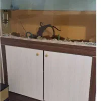 آکواریوم بزرگ