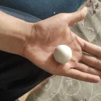 سنگ آسیاب با ارزش