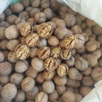 گردودشتک|خوردنی و آشامیدنی|شیراز, حومه شیراز|دیوار