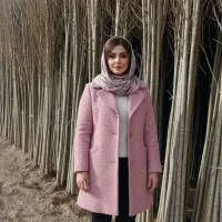 فروش نهال خرمالو در رشت، رشد عـالی اقلیم شمال