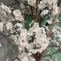 درخت ساکورا (شکوفه گیلاس) با چوب طبیعی|گل مصنوعی|تهران, جنت‌آباد مرکزی|دیوار
