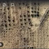 فروش زمین کشاورزی و باغ پیارم با موقعیت عالی