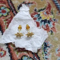 گلگوش طلا