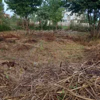 زمین-مسکونی-با-نسق-شاهنشاهی