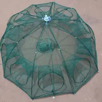 تور ماهیگیری