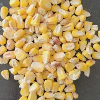 خرید و فروش نهاده های دام و طیور(پارس دانه جنوب )|عمده‌فروشی|شیراز, بید زرد|دیوار