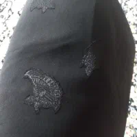 چادر مشکی|لباس|شاهین دژ, |دیوار