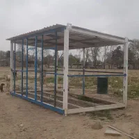 اسکلت