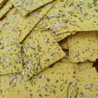 نان چیپسی با ۱۲ طعم مختلف|خوردنی و آشامیدنی|شیراز, لاله|دیوار