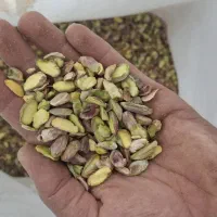 خرید مغز پسته