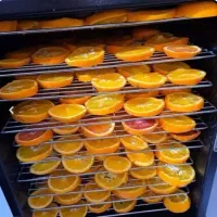 دستگاه میوه خشک کن|سایر لوازم برقی|تبریز, |دیوار