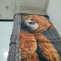 تخت خواب نوجوان