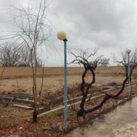 باغ با توان پلاک بندی،سرمایه گذاری و شخصی سازی|فروش خانه و ویلا|نجفآباد, قلعه سفید|دیوار