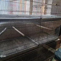 تعدادی قفس پرنده دست دوم|لوازم جانبی حیوانات|رشت, گلسار|دیوار