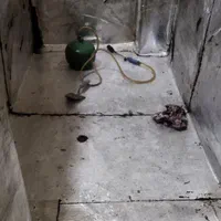 کاشی کار کاشی کاری بنایی دیوار چینی موزائیک کار|خدمات پیشه و مهارت|تهران, آذری|دیوار