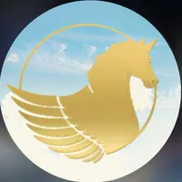 بوکینگ و رزرو مخصوص سفارت